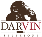 DarvinSelezione Logo