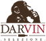 DarvinSelezione Logo