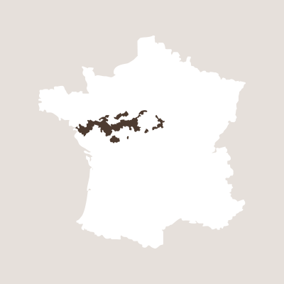 Francia - Loire